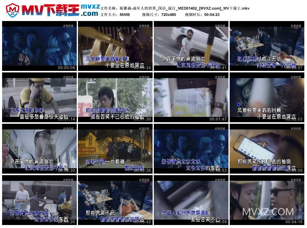 陈雅森-成年人的世界_国语_流行_MED01402